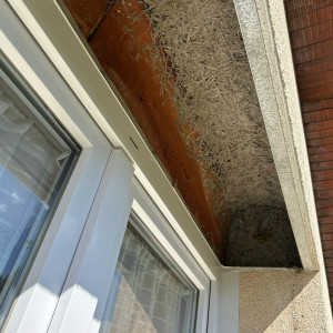 Transformation de volets roulants manuels en volets solaires SOMFY RS100 IO à Villefranche-sur-Saône